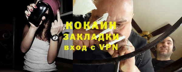 стаф Каменка