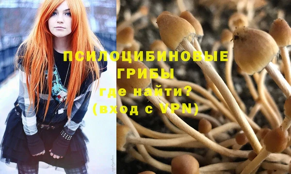 ALPHA PVP Каменногорск