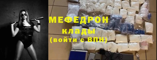 стаф Каменка