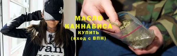 стаф Каменка