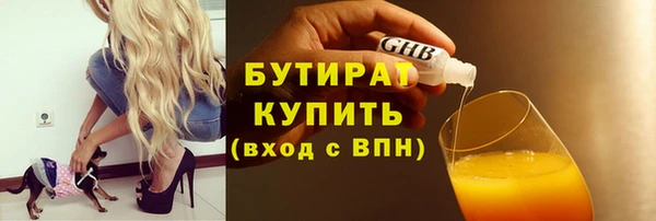 стаф Каменка