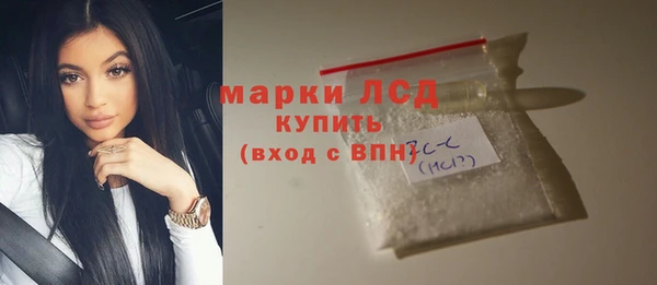 стаф Каменка