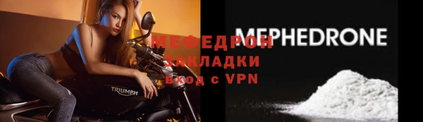 стаф Каменка