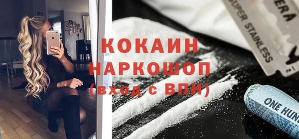 стаф Каменка