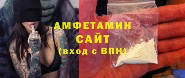 стаф Каменка