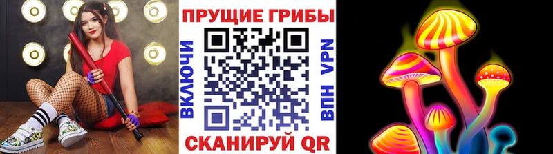 Псилоцибиновые грибы мухоморы  Купить закладки  Калининск 